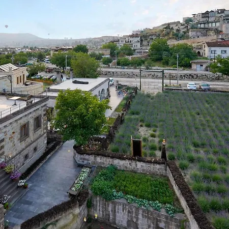 ホテル Design Cave 2*