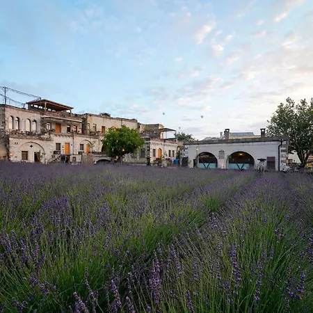 Design Cappadocia Hotel
