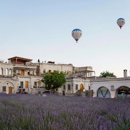 Design Cave 2* Goreme