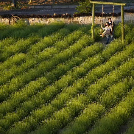 Design Cave ギョレメ