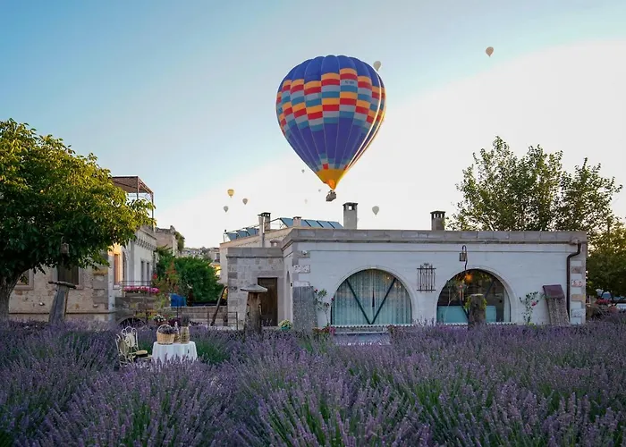 ホテル Design Cave ギョレメ