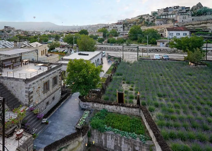 Hotel Design Cave 2*