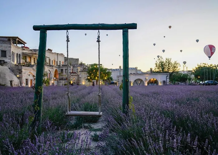 Отель Design Cave 2*