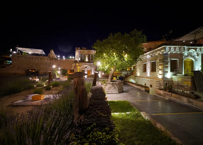 Hotel Design Cave 2*